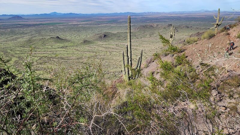 Picacho Peak Summit - Picacho, AZ