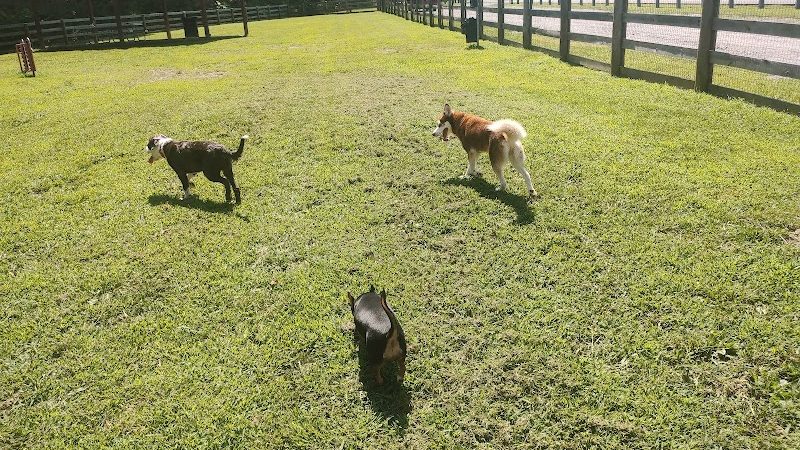 Pikeville Dog Park - Pikeville, KY