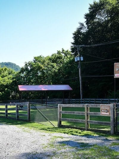 Pikeville Dog Park - Pikeville, KY