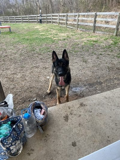 Pikeville Dog Park - Pikeville, KY