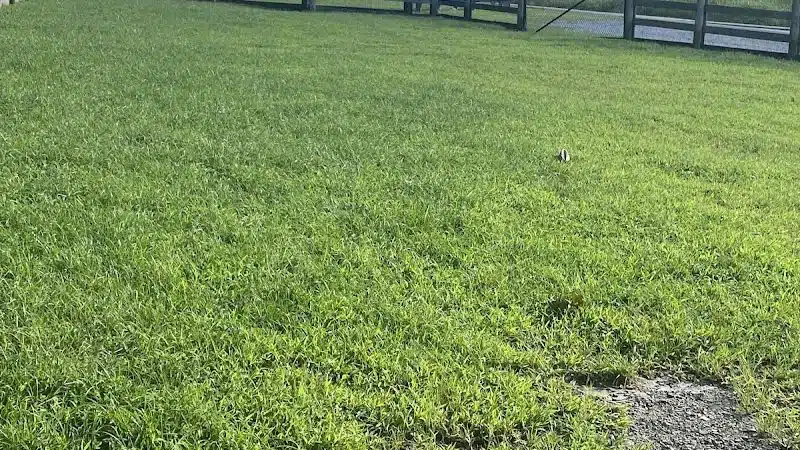 Pikeville Dog Park - Pikeville, KY