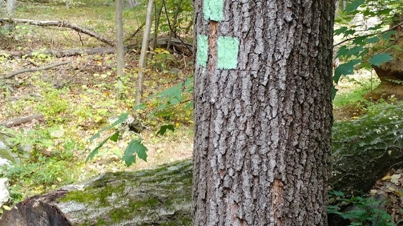 Manchester Park - Pine Brook, NJ