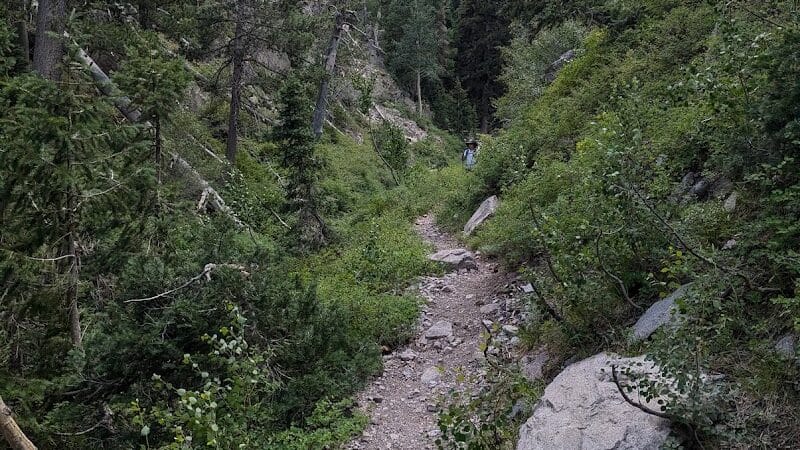 Forsyth Trailhead - Pine Valley, UT