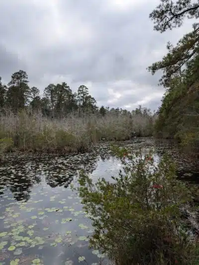 Pinebluff park - Pinebluff, NC