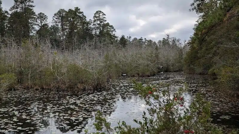 Pinebluff park - Pinebluff, NC