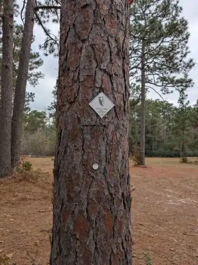 Pinebluff park - Pinebluff, NC
