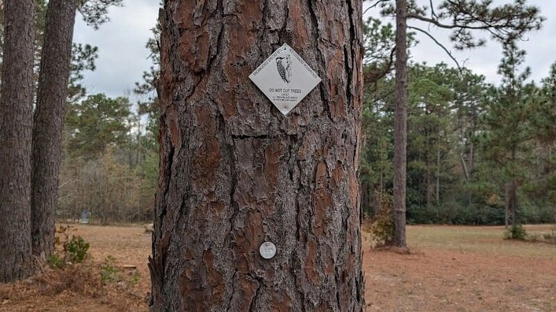 Pinebluff park - Pinebluff, NC