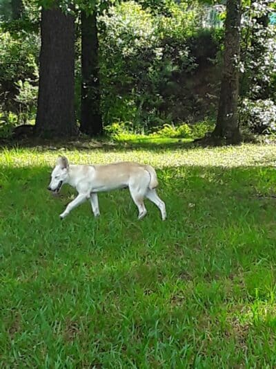 Pineland Park - Pineland, TX