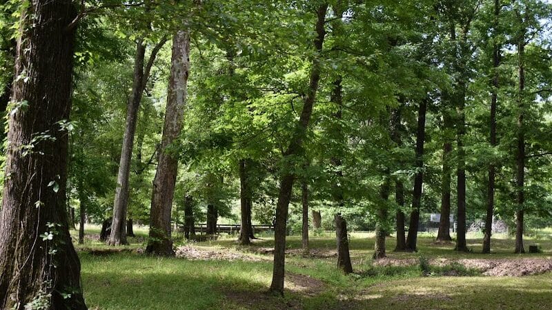 Pineland Park - Pineland, TX