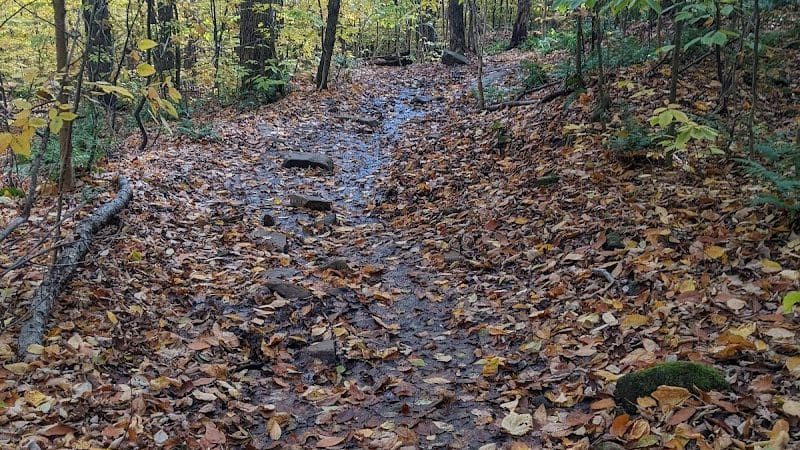 Echo Cliffs Trailhead - Piseco, NY