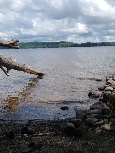 Little Sand Point Campground - Piseco, NY