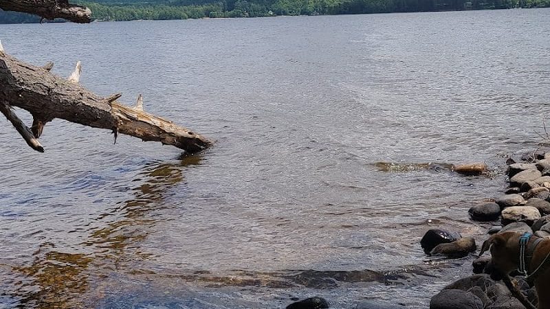 Little Sand Point Campground - Piseco, NY
