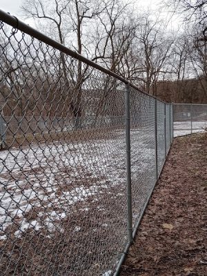 Dickson Dog Park