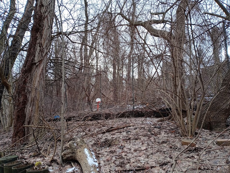 Dickson Dog Park - Pittsburgh, PA