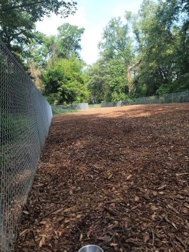Dickson Dog Park