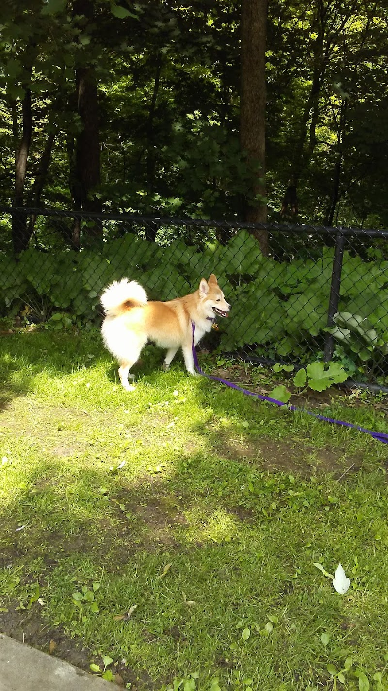 Highland Park Off Leash Exercise Area - Pittsburgh, PA