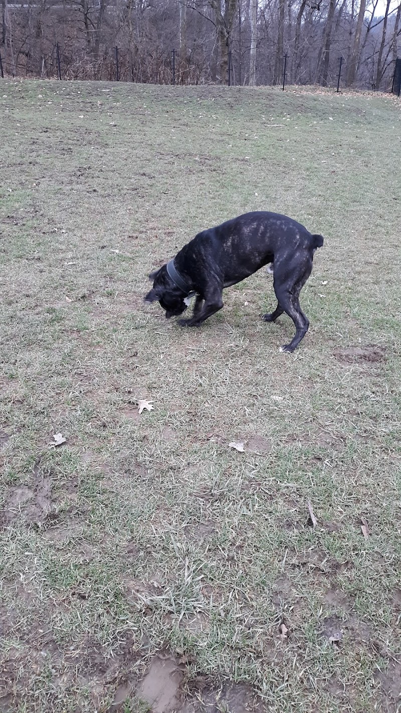 Highland Park Off Leash Exercise Area - Pittsburgh, PA