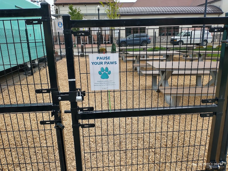 Paws Dog Park - Pittsburgh, PA