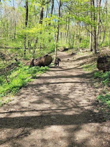 Riding Meadow Park