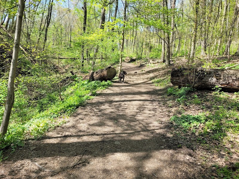 Riding Meadow Park - Pittsburgh, PA