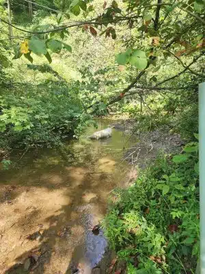 Riding Meadow Park