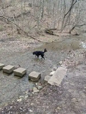 Riding Meadow Park