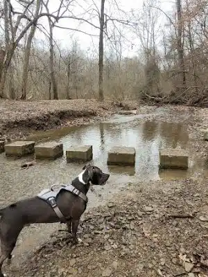 Riding Meadow Park