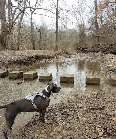 Riding Meadow Park