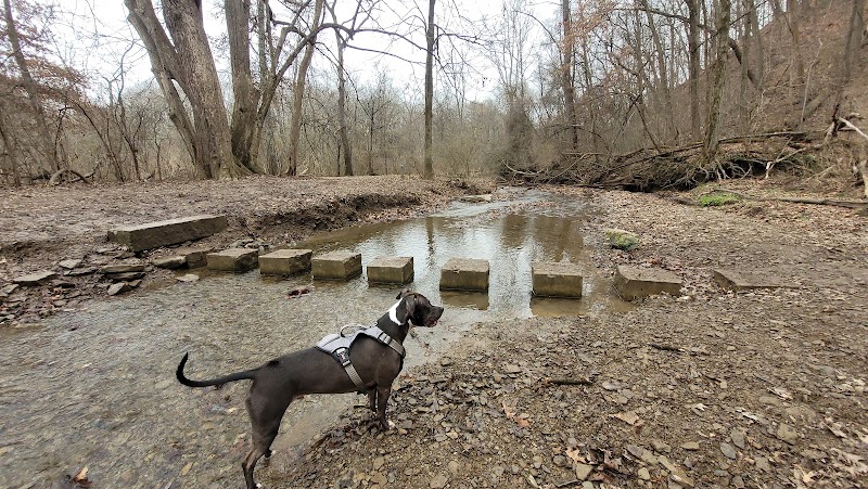 Riding Meadow Park - Pittsburgh, PA