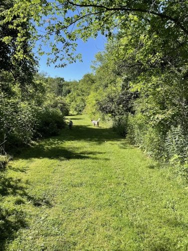 Riding Meadow Park