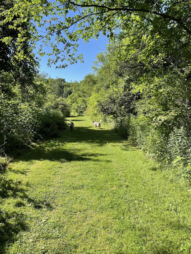 Riding Meadow Park - Pittsburgh, PA