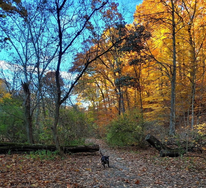 Riding Meadow Park - Pittsburgh, PA