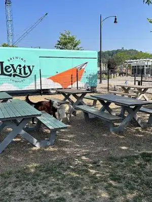 Southside Works Dog Park