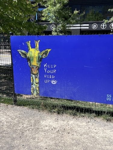 Southside Works Dog Park