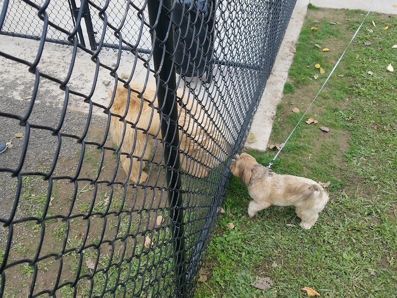Pittsford Dog Park - Pittsford, NY