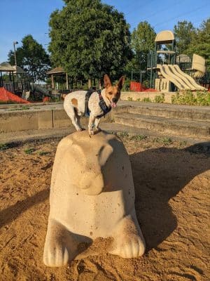 Plainsboro Community Park