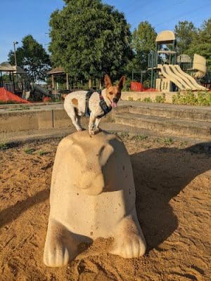 Plainsboro Community Park