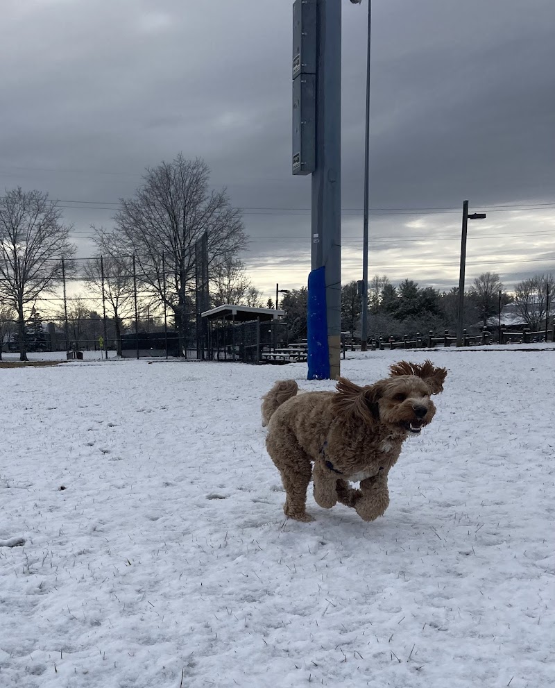 Plainsboro Community Park - Plainsboro Township, NJ