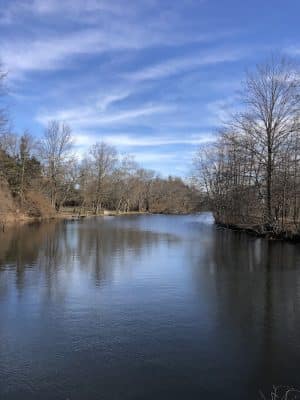 Plainsboro Park
