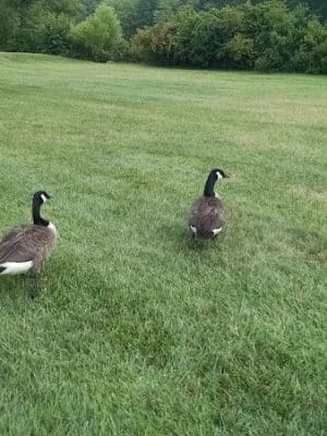 Plainsboro Park