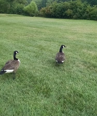 Plainsboro Park