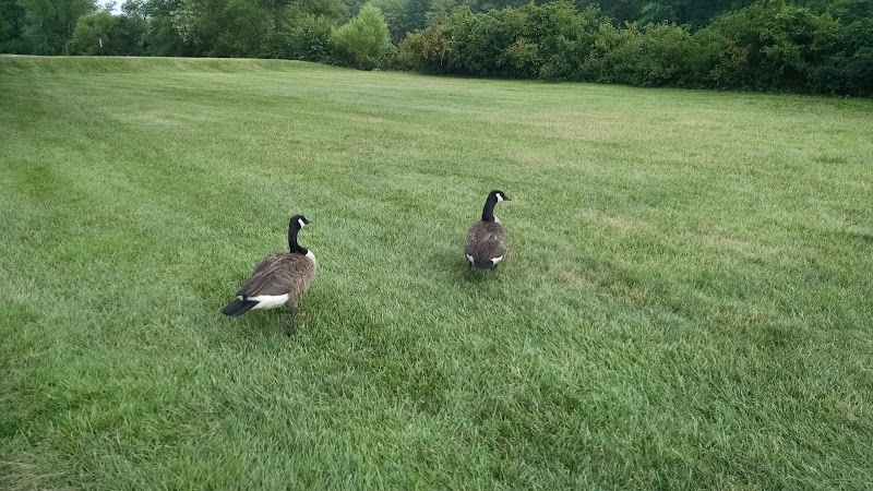 Plainsboro Park - Plainsboro Township, NJ