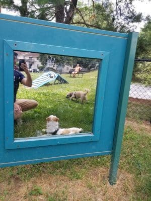 Quail Ridge Dog Park