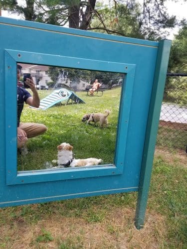 Quail Ridge Dog Park