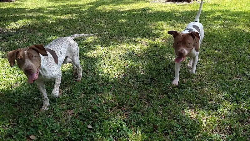 Plant City Dog Park - Plant City, FL