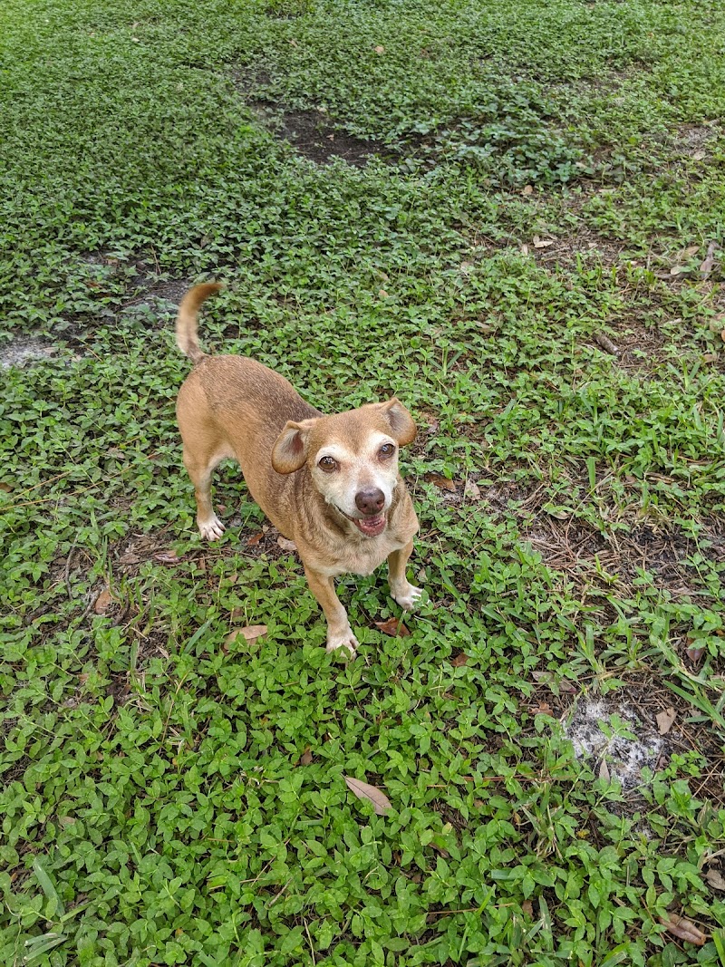 Plant City Dog Park - Plant City, FL