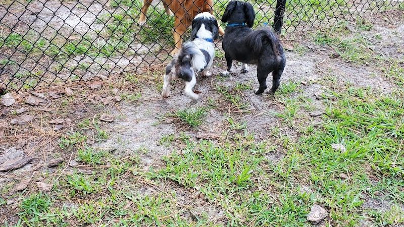Plant City Dog Park - Plant City, FL