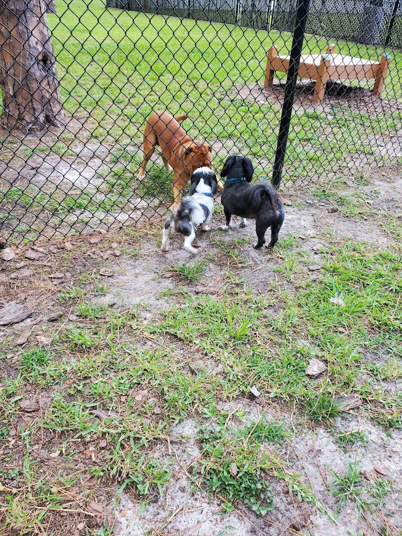 Plant City Dog Park - Plant City, FL