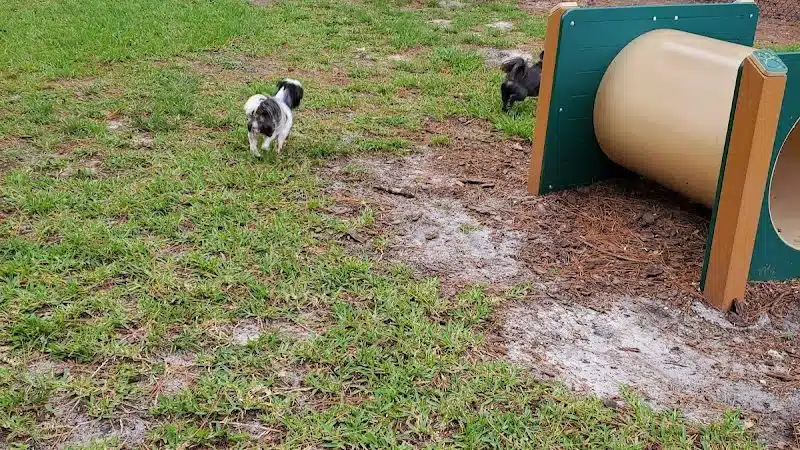 Plant City Dog Park - Plant City, FL