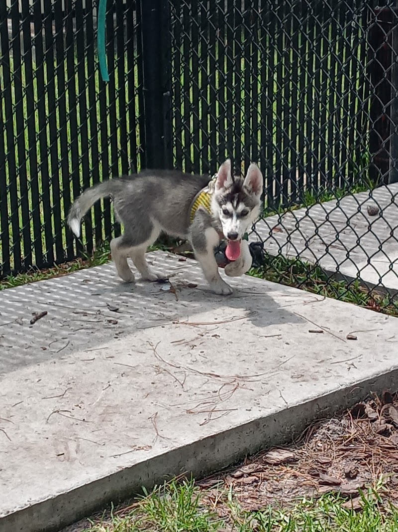 Plant City Dog Park - Plant City, FL